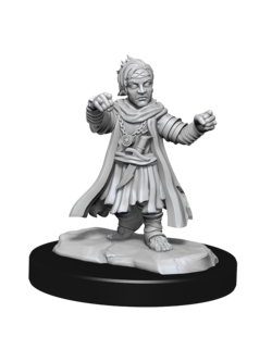 Wizkids Male Halfling Monk