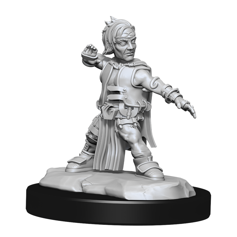 Wizkids Male Halfling Monk