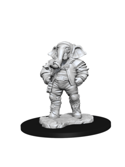 Wizkids Quintorius, Field Historian