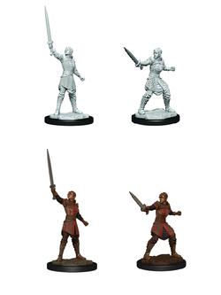 Wizkids Critical Role - Human Dwendalian Empire Fighter