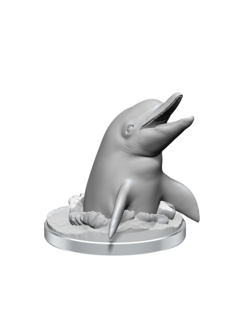 Wizkids Dolphins