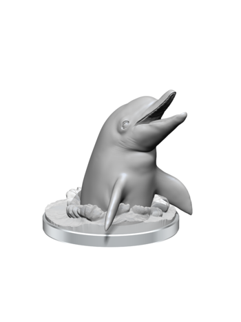 Wizkids Dolphins