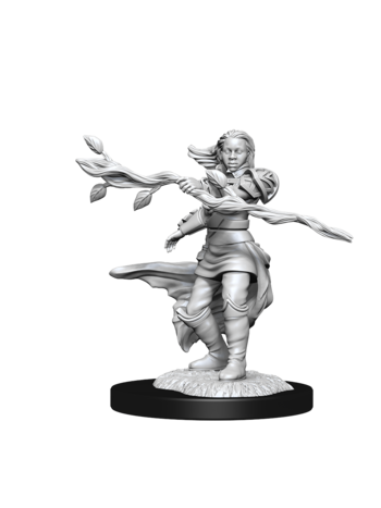 Wizkids Female Human Druid