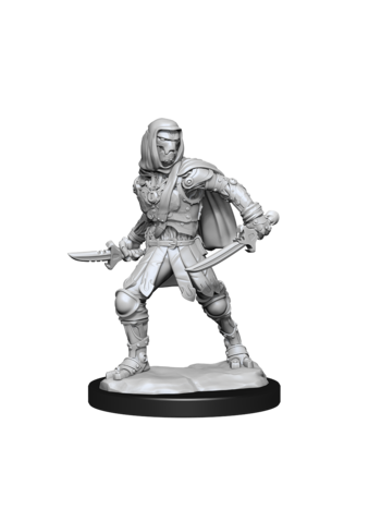 Wizkids Warforged Rogue