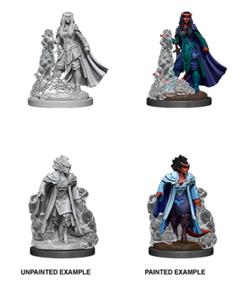 Wizkids Female Tiefling Sorcere