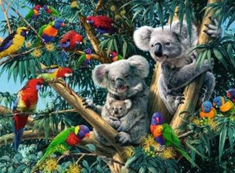 Ravensburger Koalas dans l'arbre