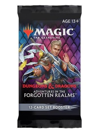 Magic The Gathering Magic the Gathering Adventures in the Forgotten Realms Draft Booster Pack