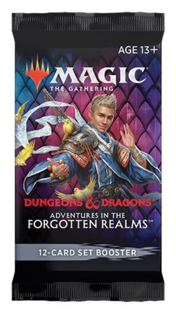 Magic The Gathering Magic the Gathering Adventures in the Forgotten Realms Draft Booster Pack
