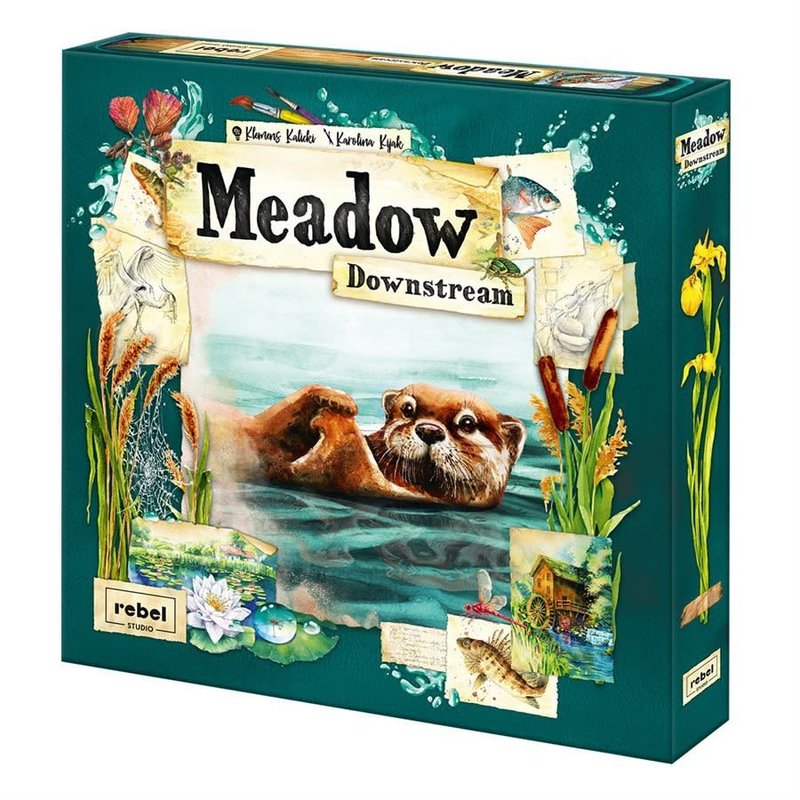 Rebel Meadow - Downstream (ML)