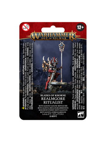 Age of Sigmar Blades of Khorne - Realmgore Ritualist