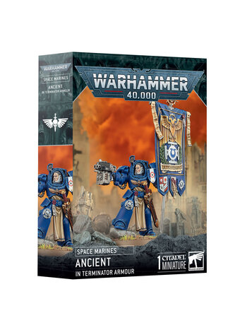 Warhammer 40K Space Marines - Ancient in Terminator Armour