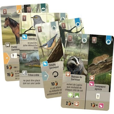 Look Out Games Forêt Mixte - Dartmoor (FR)