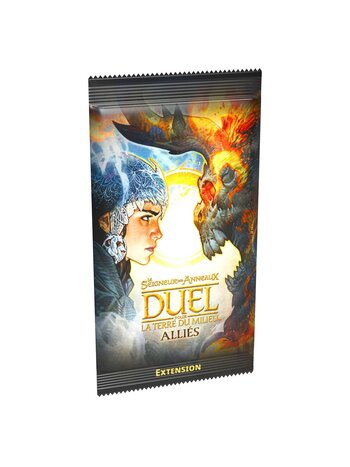 Repos Production Le Seigneur des Anneaux Duel pour la Terre du Milieu - Alliés (FR)