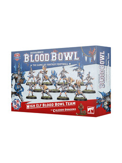 Blood Bowl Blood Bowl - High Elf Team