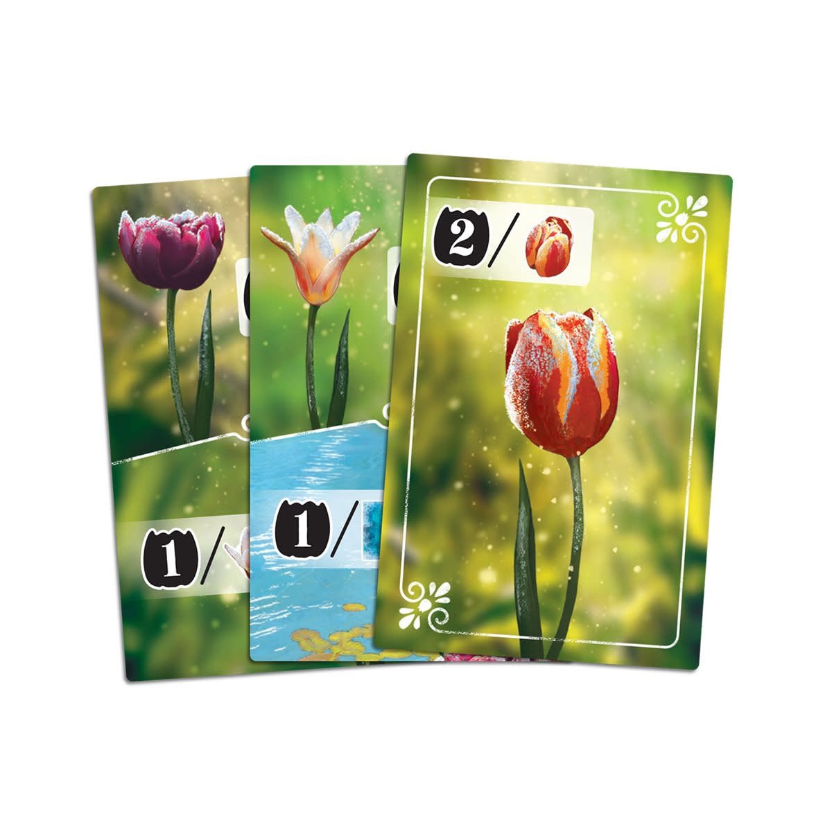 Synapse Games Frosted Blooms (ML)