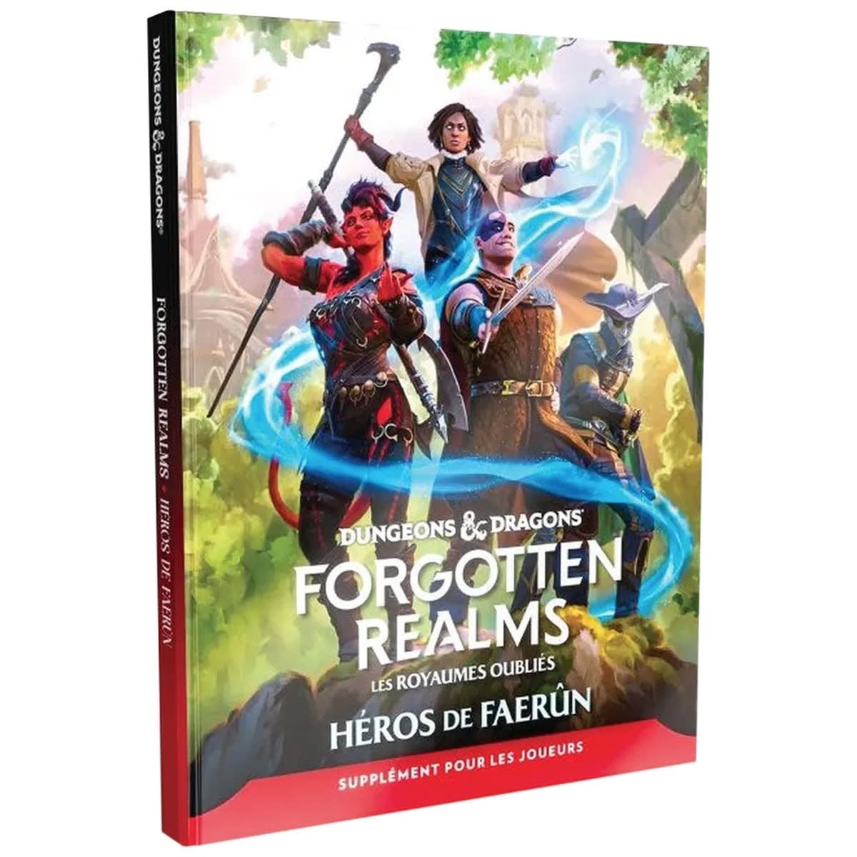 Wizard Of The Coast Dungeons & Dragons - Héros Faerûn (FR)