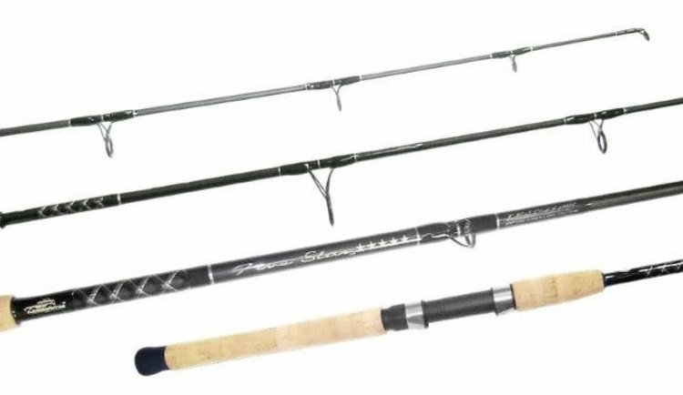 Tsunami Tsunami Five Star  Casting Rod