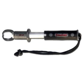 Evolution Evolution EC50BP Econo Scale to 50lbs