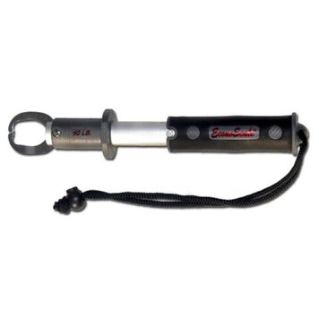 Evolution Evolution EC50BP Econo Scale to 50lbs