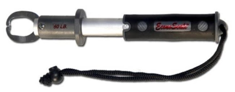 Evolution Evolution EC50BP Econo Scale to 50lbs