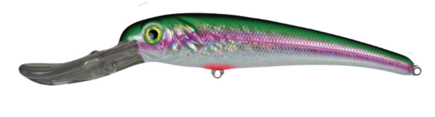 Mann's Bait MBT25-87 Company Stretch 25 Plus Fishing Lure, Pack of 1  (2-Ounces, Chrome/Black), Diving Lures -  Canada