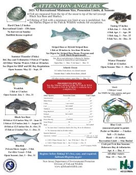 NJ Saltwater Fishing Regulations - Fin-atics Marine Supply Ltd. Inc.
