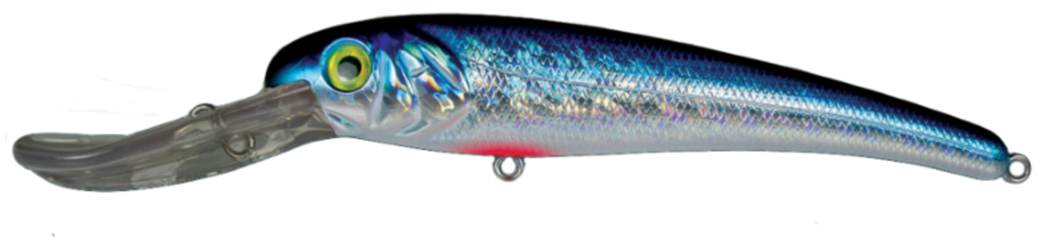  Mann's Bait Company Stretch 25+ Fishing Lure (Pack of 1),  2-Ounces, Green Mullet Holographic : Fishing Diving Lures : Sports &  Outdoors