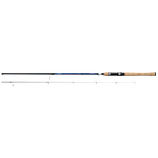 Daiwa Daiwa AIRD Coastal Inshore Spinning Rod