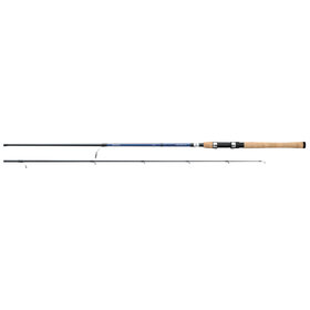 Daiwa Daiwa AIRD Coastal Inshore Spinning Rod