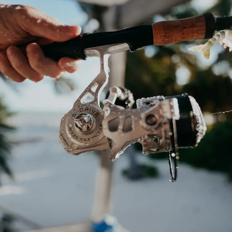 Tsunami Tsunami SaltX II Spinning Reel