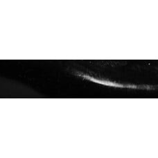 Al Gags Al Gags 4" Whip-It Fish Rigged (1 Head / 2 Tails)