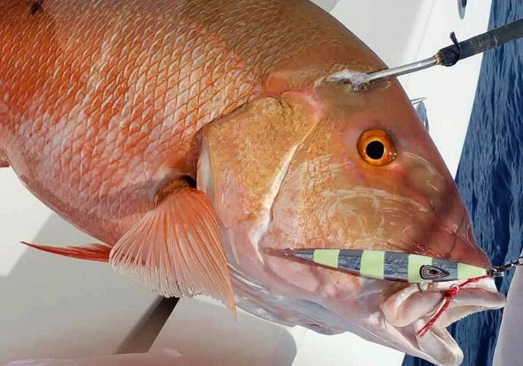 Johnny Jigs Johnny Jigs Flat Back Slow Pitch Jig