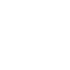 Stack Tackle Stack Tackle Screwy Jig Head w/Skirts 5/0