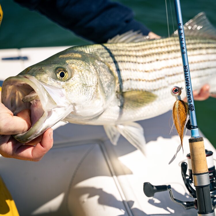Dark Matter Dark Matter John Skinner 1pc Jig & Bounce Metallic Blue Spinning Rod