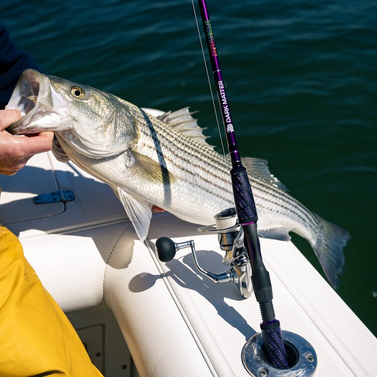 Dark Matter Dark Matter 7ft Psychedelic Inshore 10-17lb Spinning Rod