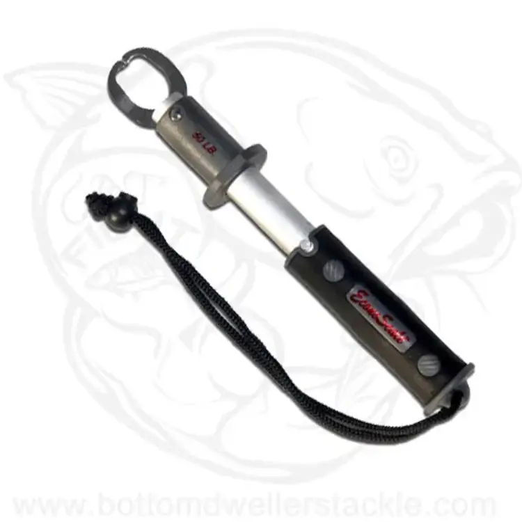 Evolution Evolution EC50BP Econo Scale to 50lbs