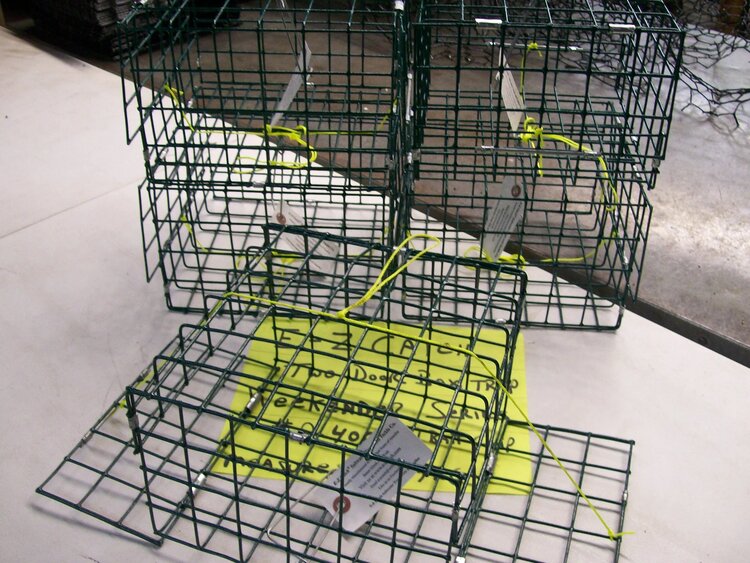 E-Z Catch E-Z Catch Weekender 2 Door Crab Trap w/Bait Pin (9"x9"x4.5")