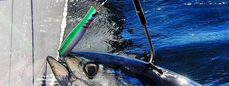 Tactical Angers Tactical Anglers Power Clips Bulk Pack