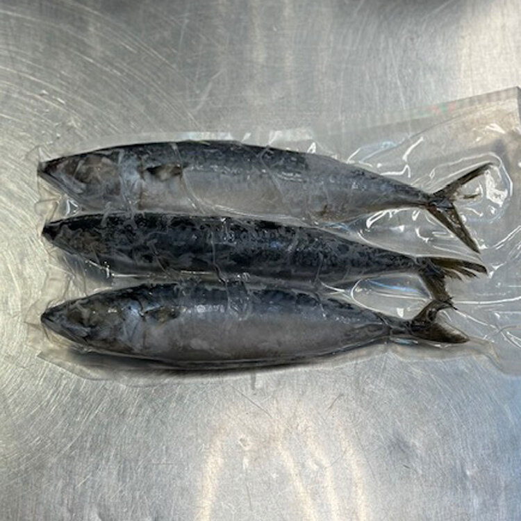Mackerel