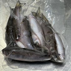 Finger Mullet - Dozen