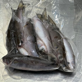 Finger Mullet - Dozen