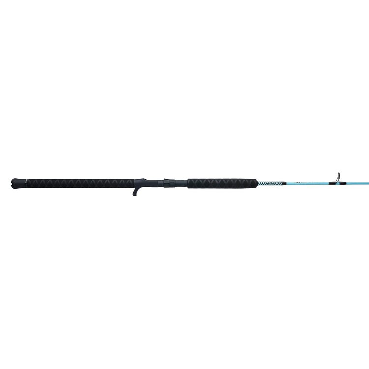 Ugly Stik Ugly Stik Carbon Jigging 5'8" Heavy Moderate Fast 1pc Casting Rod - USCBJG80200C58