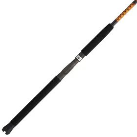 Ugly Stik Ugly Stik Bigwater 6ft Medium Action 1pc Conventional Rod - BW1525C601