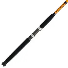 Ugly Stik Ugly Stik Bigwater 6ft Medium Heavy Action 1pc Spinning Rod - BW2040S601