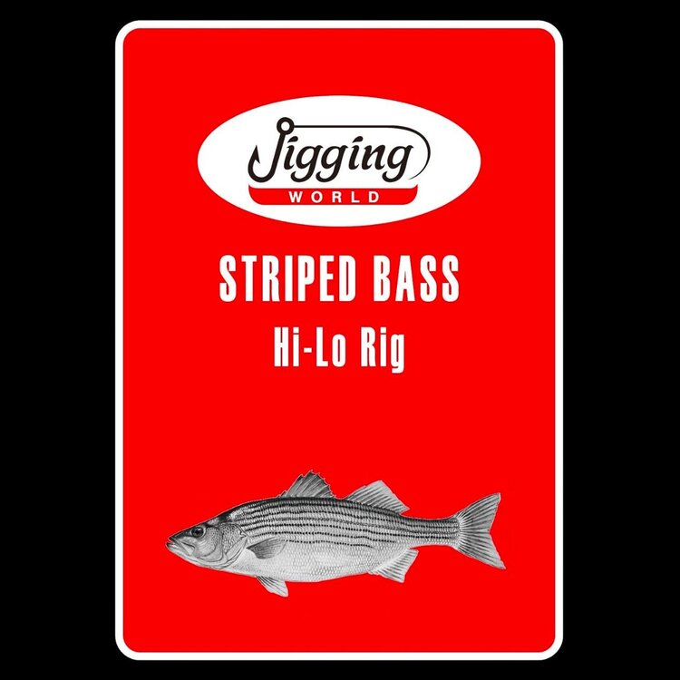 Jigging World Jigging World Striped Bass Hi-Lo  Inline Circle Hook Rig