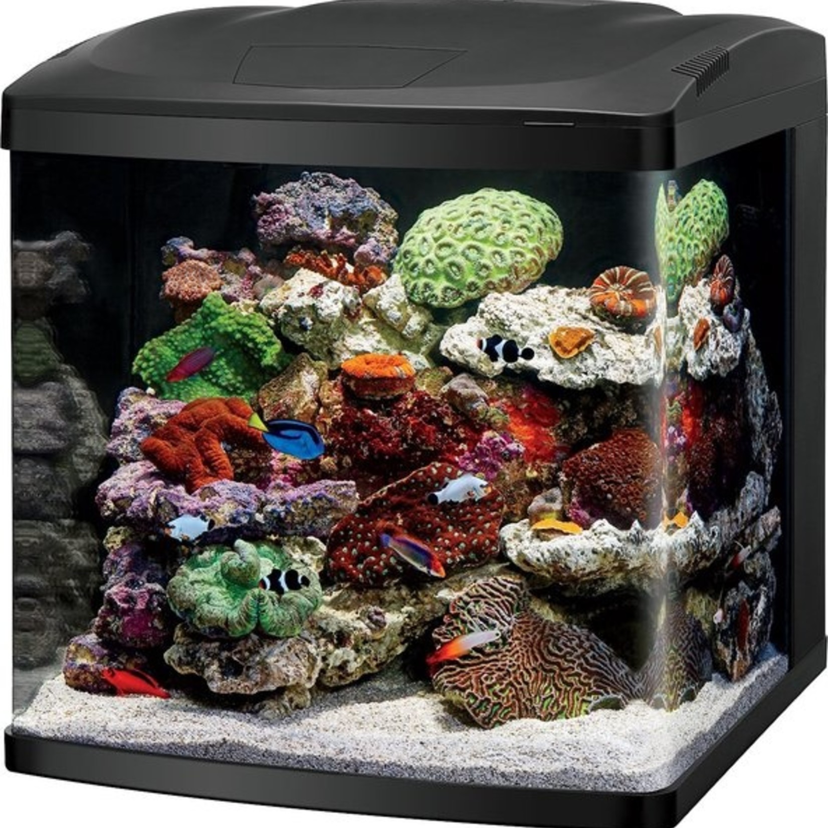 CENTRAL GARDEN & PET - AQUATIC CL BIOCUBE LED AQRM KIT 32G