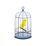 BIRDS, SMALL ANIMALS, REPTILE BOARDING OVERNIGHT