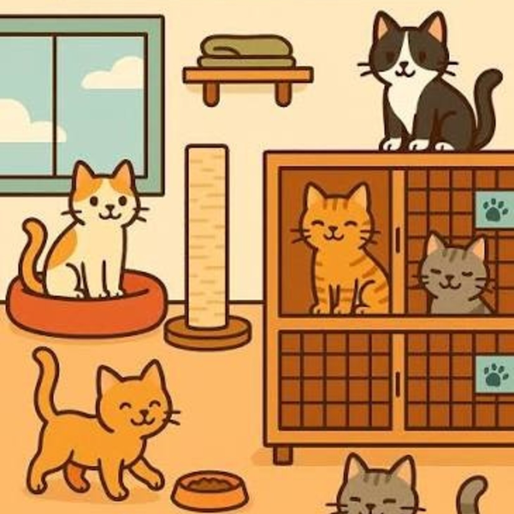 CAT BOARDING OVERNIGHT