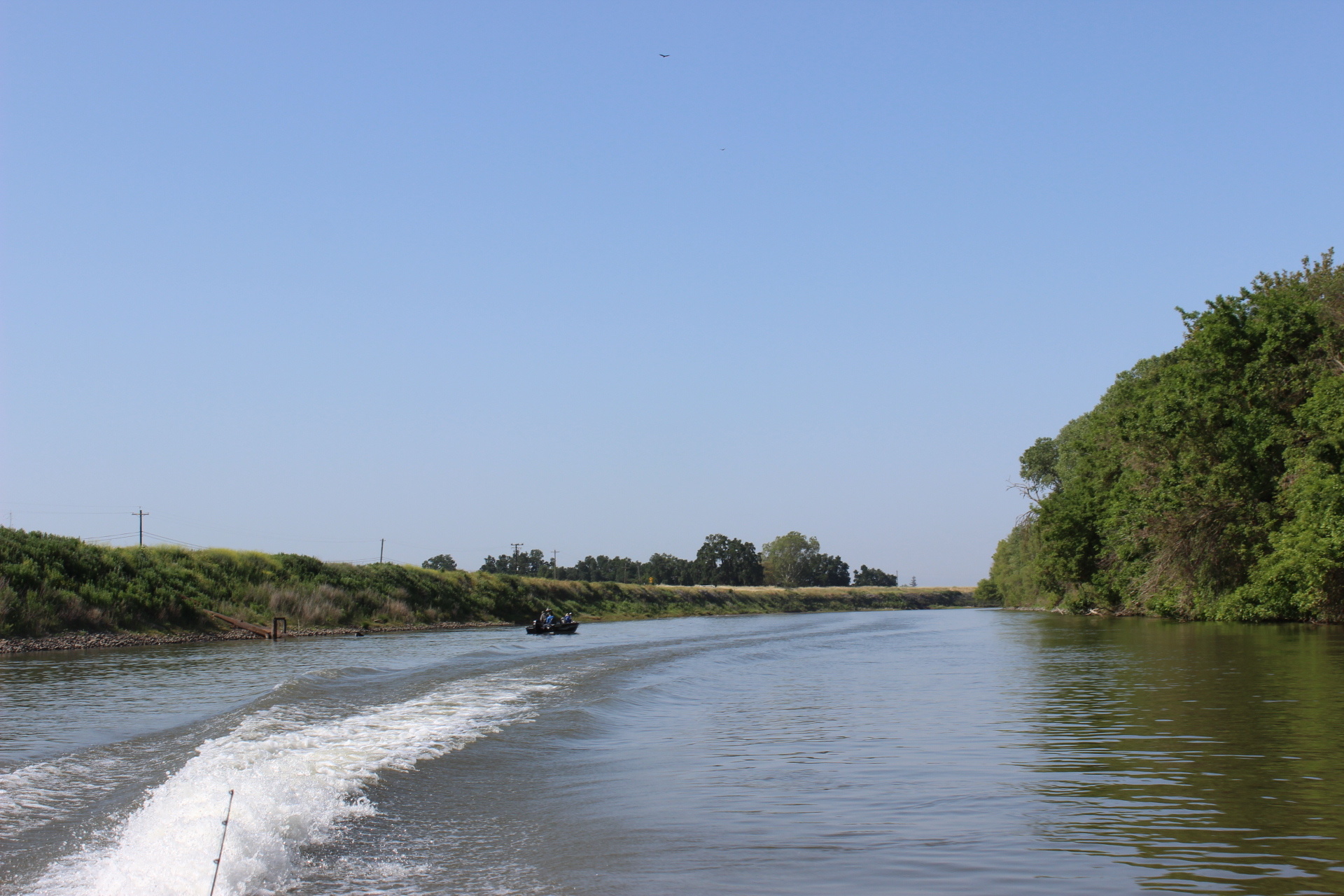 Fishing for Stripers on Sacramento River (Limited out by 11am!)