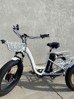 Driven Trike Ebike Fat Tire Electric Bike 500 Watt 20 MPH